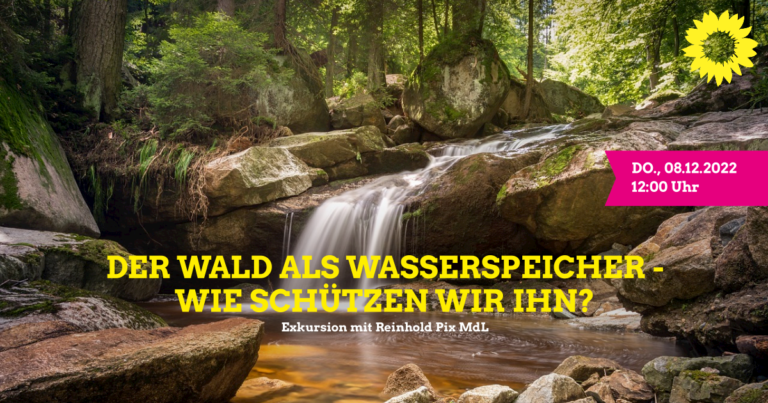 Exkursion: Der Wald als Wasserspeicher – wie schützen wir ihn?