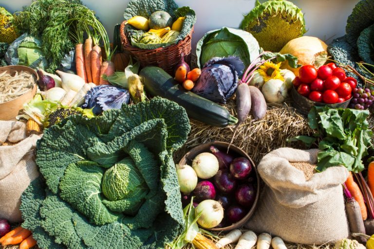 AK Ernährung und regionale Landwirtschaft: Hofbesichtigung