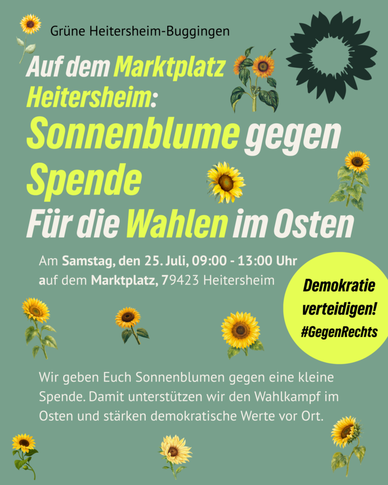 Stand auf dem Marktplatz der Grünen Heitersheim-Buggingen